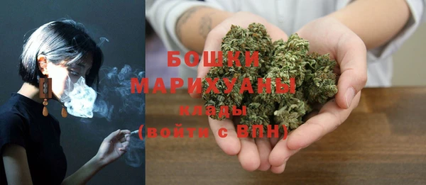 ECSTASY Инсар