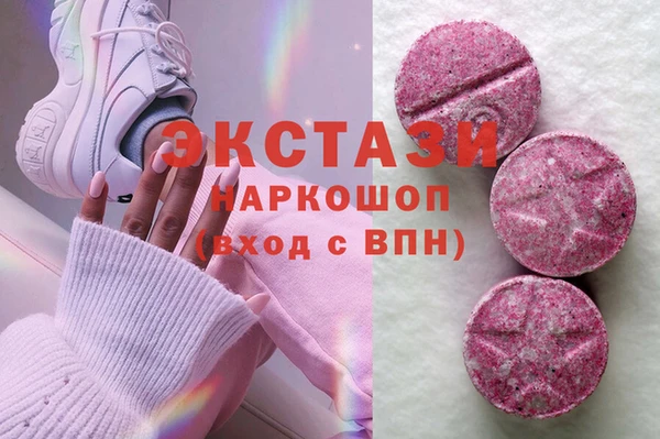 ECSTASY Инсар