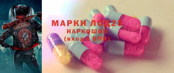 ECSTASY Инсар