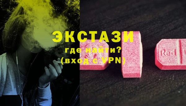 ECSTASY Инсар