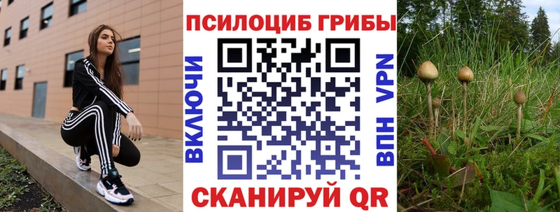 Галлюциногенные грибы Psilocybe  Купить где  Воткинск 